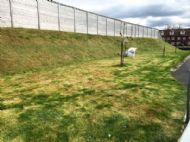 Click for all images